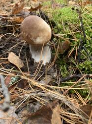 IMG_4883.jpeg