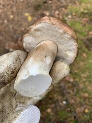 IMG_4886.jpeg