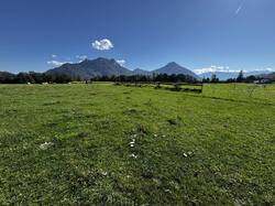 IMG_6537.jpeg