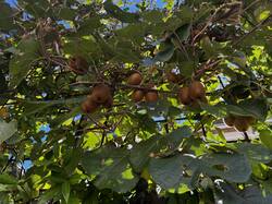 IMG_6573.jpeg