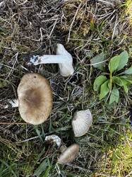 IMG_6608.jpeg