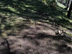 IMG_6611.jpeg