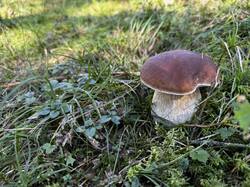 IMG_6614.jpeg