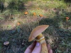 IMG_6636.jpeg