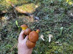 IMG_6651.jpeg