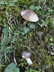 IMG_6665.jpeg