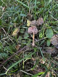 IMG_6669.jpeg