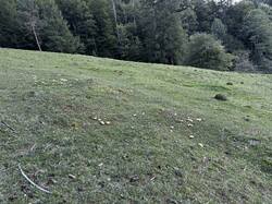 IMG_6678.jpeg