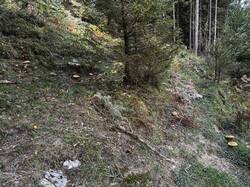 IMG_6699.jpeg