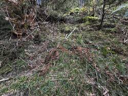 IMG_6700.jpeg