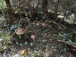 IMG_6718.jpeg
