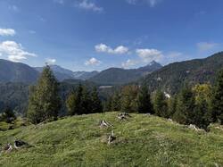 IMG_6719.jpeg