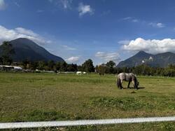 IMG_6736.jpeg