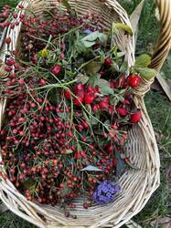 IMG_6739.jpeg