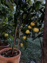 IMG_6748.jpeg