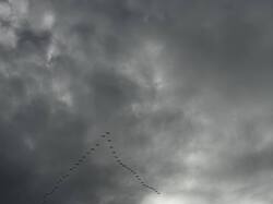 IMG_6827.jpeg