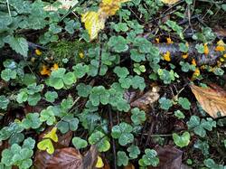 IMG_6926.jpeg
