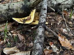 IMG_6948.jpeg