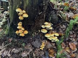 IMG_6956.jpeg