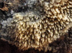 IMG_9036-1.thumb.jpg.d8d33f69fc55372f9096cd727cb6a89c.jpg
