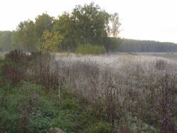 IMG_9196.thumb.JPG.b4b224e0ae958f459286752ce691488f.JPG