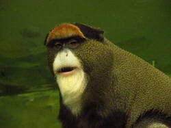 IMG_9340.thumb.JPG.2eabd0766da7612ad5450cb96744ecda.JPG