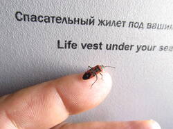 IMG_9406.thumb.JPG.b250d081a938d6e757e3882668f68288.JPG