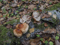 IMG_9436.jpg