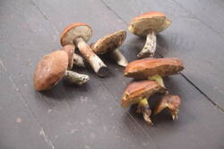 IMG_9646.thumb.JPG.b285904e45c89687f01536cc6bdea9cb.JPG