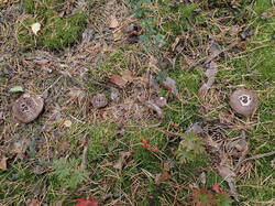 PA021228.thumb.JPG.d176f5dfdf8e62f3efd8751eac197ef6.JPG