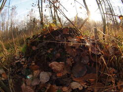 PA311404.JPG