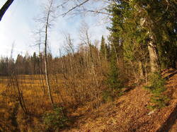 PA311416.JPG