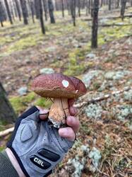 image-11-10-26-18-34-17.jpeg