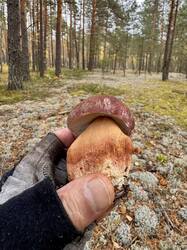 image-11-10-26-18-34-18.jpeg