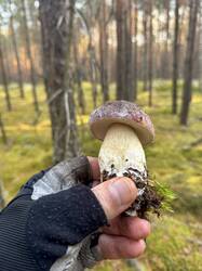 image-11-10-26-18-34-31.jpeg