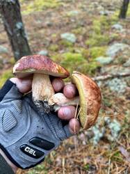 image-11-10-26-18-34-7.jpeg